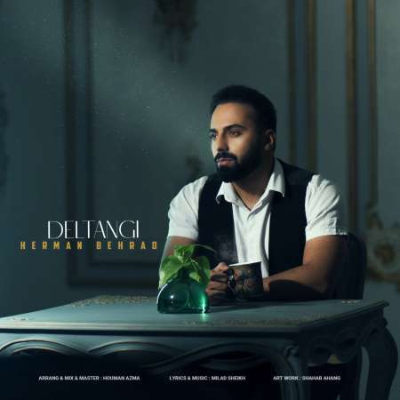 Herman Behrad – Deltangi